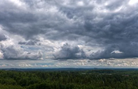 Heavy clouds over an dense forest Stock Photos