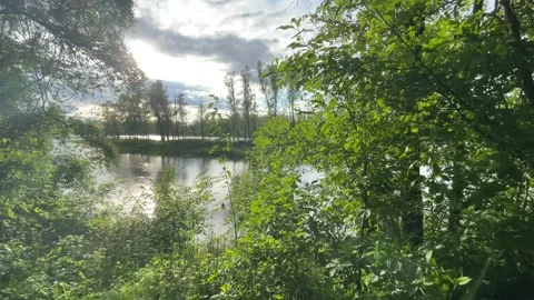 Heavy clouds over an island on the danube river Stock Footage 154340070