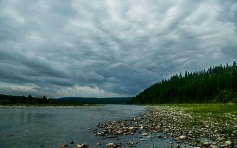 Heavy clouds over mountain river Kozhim and coniferous forest Fotos Stock