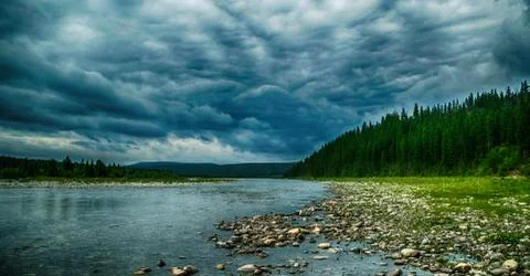 Heavy clouds over mountain river Kozhim and coniferous forest Fotos Stock