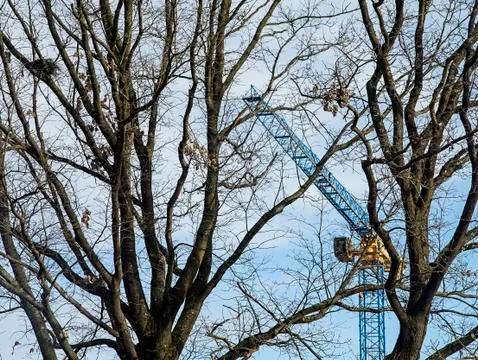 Heavy construction crane with trees infront Stock Photos