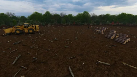 Heavy deforestation, tree stumps and logs, 4K 1 스톡 동영상 141128877