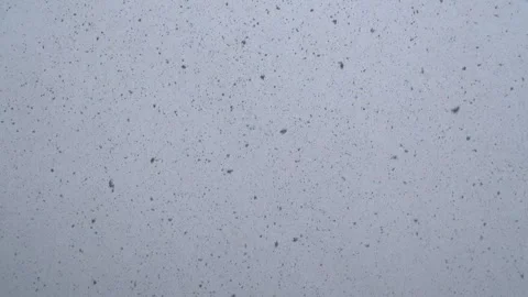 Heavy, dense snowfall fills the winter sky - Sky Creating and Texture Captures Stock Footage 339346085