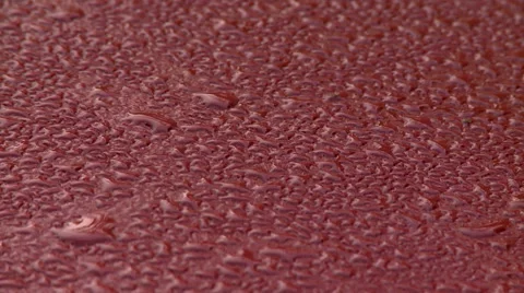 Heavy Dew Video stock 54713688