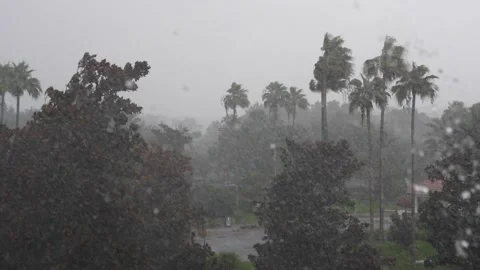 Heavy downpour during a tropical typhoon or rain storm Stock Footage 157302454