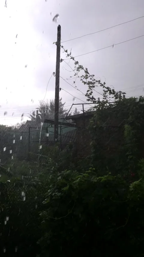 Heavy downpour outside the window in summer view of the old abandoned garden Stock Footage 241179911