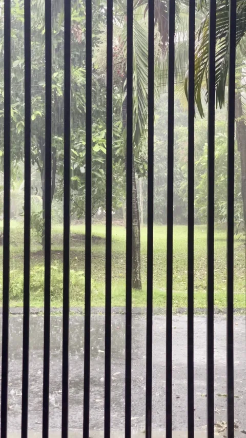 Heavy Downpour View from Inside the House Background 4K Vídeo Stock 335630528