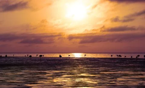 Heavy dramatic clouds and bright sky over the Atlantic Ocean. Beautiful afric Stock Photos