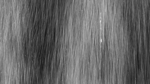 Heavy droplets of rain falling on an isolated background Stock Footage 126137330