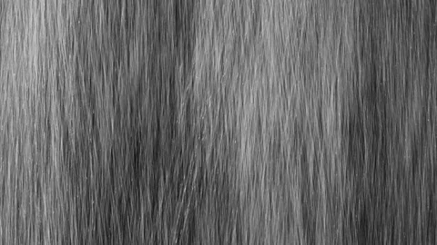 Heavy droplets of rain falling on an isolated background Stock Footage 126143913