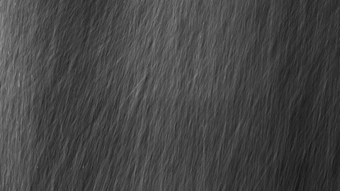 Heavy droplets of rain falling on an isolated background Stock Footage 126154289