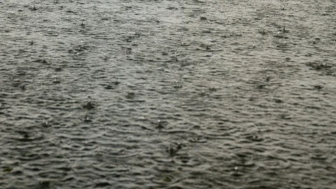 Heavy drops of rain on the surface of water, lake, downpour Stock Footage 93547756