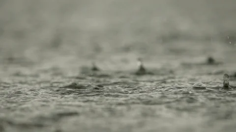 Heavy drops of rain on the surface of water. Smal lake neath the city. downpour Stock Footage 98097119