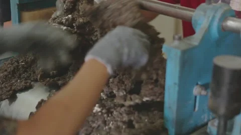 Heavy Duty Mangle Machine Milling Natural Raw Rubber in Factory Stock Footage 336712964