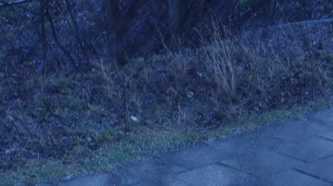 Heavy fall of  rain and hail with wind. Bad weather in December Stock Footage 45265879