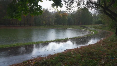 Heavy fall rain Video stock 252445690