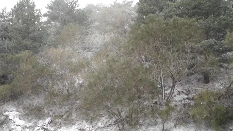Heavy Fall Snow High Wind Bad Weather Forest Mountain Winter Sicily Etna Park Vídeos de archivo 150547637