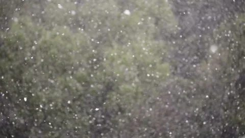 Heavy falling snow in the end of spring. Green trees background. 库存影片 86660544
