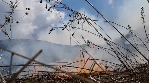 Heavy fire and smoke-dangerous for the environment Stock Footage 89189495