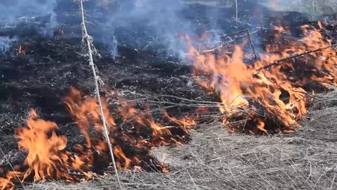 Heavy fire and smoke-dangerous for the environment Stock Footage 89189498