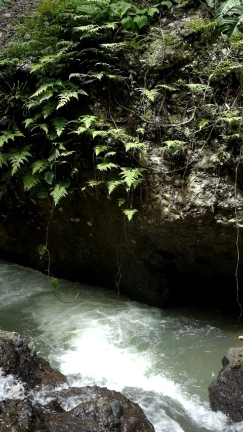 Heavy flow of water on the edge of the river Stock-Footage 297633911