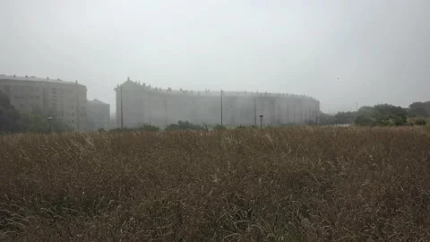Heavy fog and wind in the vicinity of the city, due to fog poor visibility. Stock Footage 220766321