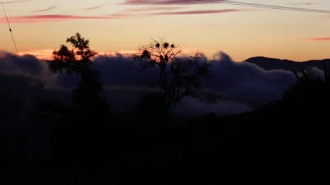 Heavy Fog Rolling Over a Forest MOUNTAINSIDE Valley at Sunset, (HD 24p) Stock Footage 154208849