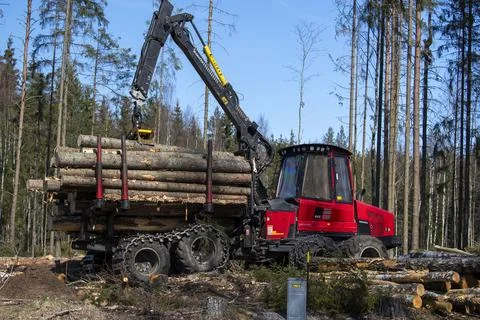 Heavy forest machine loader timber Stock Photos