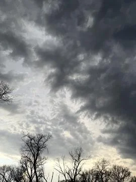 Heavy Gray Clouds Over Bare Tree Silhouettes Stock Photos