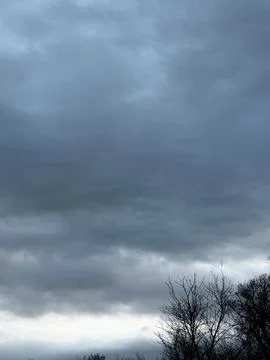Heavy Gray Rain Clouds Above Leafless Trees 写真素材