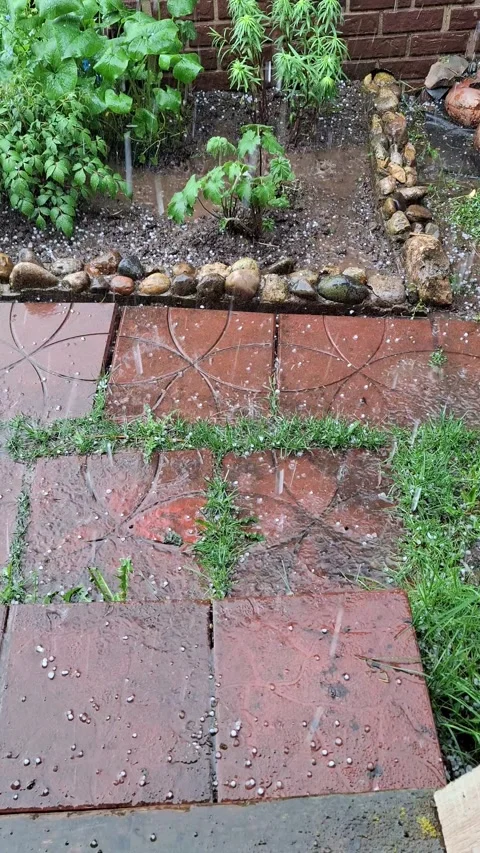Heavy hailstorm falling on garden path with wet brick tile and green plant d Stock Footage 335636779