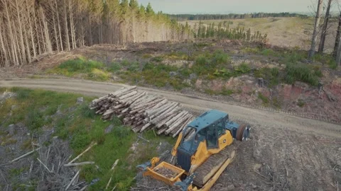 Heavy logging machinery in the forest Stock-Footage 230727564