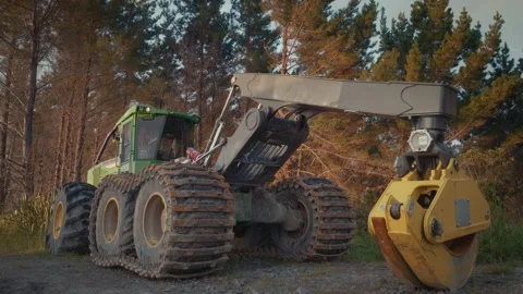 Heavy logging machinery in the forest Stock Footage 230727736