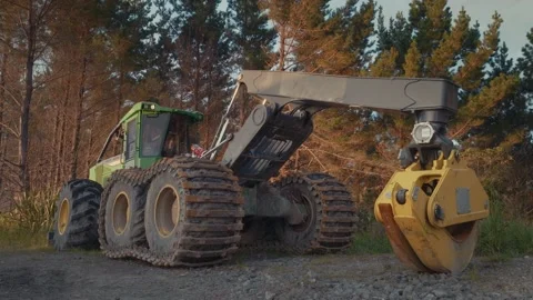 Heavy logging machinery in the forest Stock Footage 230727858