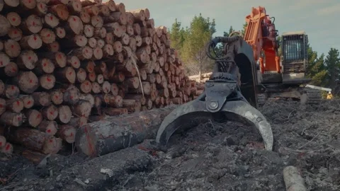 Heavy logging machinery next to stacked timber logs Stock-Footage 230727984