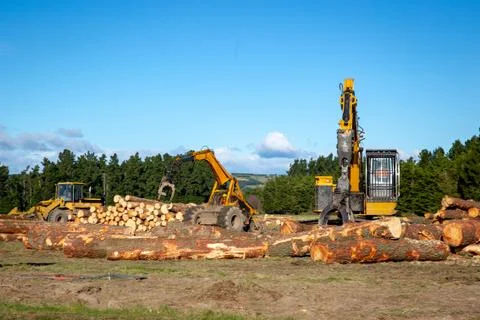 Heavy logging machinery at work stacking logs at a forestry site Stock Photos