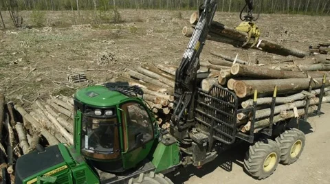 Heavy machine cutting trees in the forest. 库存影片 46750776
