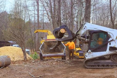 Heavy machinery operators engaged in tree removal and wood processing in a Stock-Fotos
