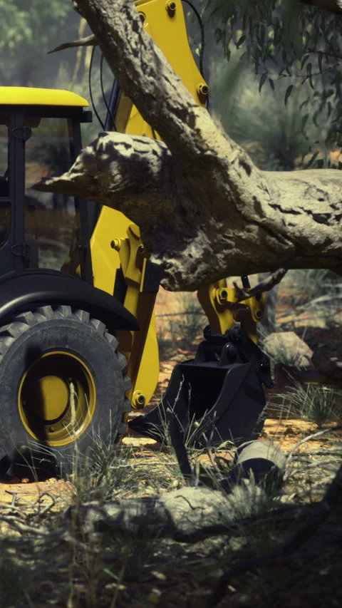 Heavy machinery removes fallen tree in rural area during daylight Stock Footage 334884561