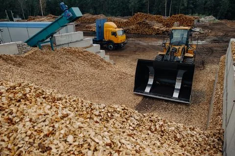 Heavy machinery at wood chip processing yard with front loader, dump truck Foto stock