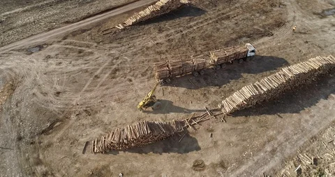 Heavy machinery at work loading logs onto truck for transport from depot Stock Footage 95142734