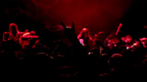 Heavy metal music devil horns salute crowd clapping and cheering. Stock Footage 332074063