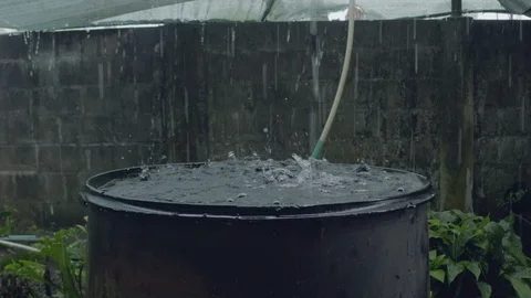 Heavy monsoon-like downpour being collected by a rain barrel in a backyard 库存影片 109136845