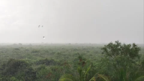 Heavy Monsoon Rain and Water Drops on Camera Lens Over Tropical Forest Stock Footage 342494976