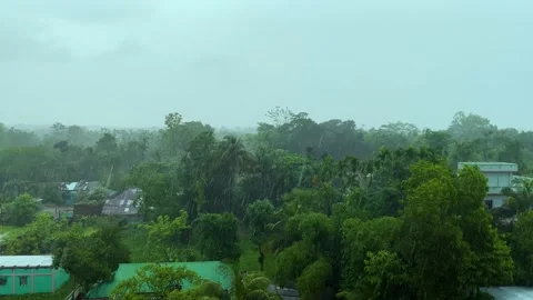 Heavy monsoon rain falling over green village in Bangladesh Stock Footage 346448608
