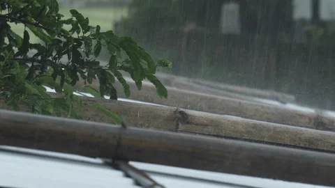 Heavy monsoon rain hit on a rooftop made of bamboo in India Video stock 156462478