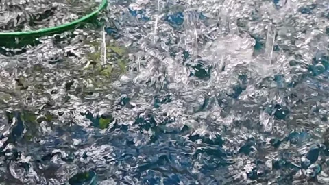 Heavy monsoon rain splashing into a full bucket of water under a corrugated Stock-Footage 308460063