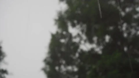 Heavy pouring rain. Shallow depth of field, focus on falling drops. The conce Stock Footage 157302467