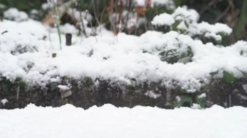 Heavy Powder Snow Fall In Backyard - Medium Shot Stock Footage 232558567