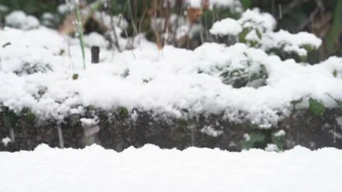 Heavy Powder Snow Fall In Backyard - Medium Shot Stock Footage 234262032